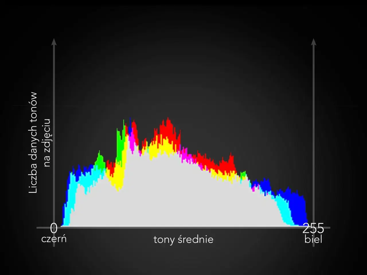 Kolorowy histogram pokazujący rozkład tonów od czerni (0) do bieli (255). Wykres przedstawia dane liczbowe tonów na zdjęciu.